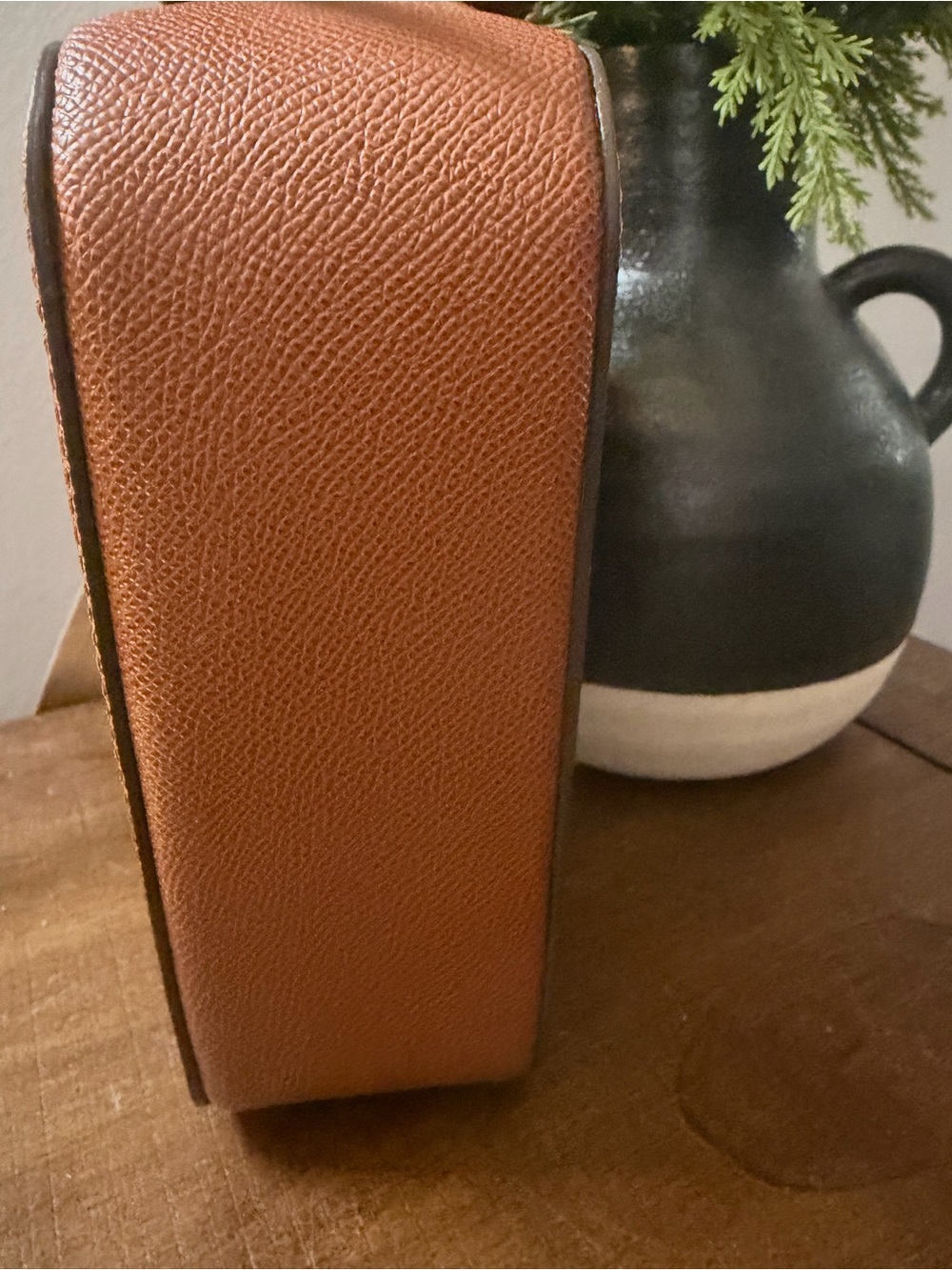 Dooney & Bourke Alpine Ambler 20 Crossbody Bag - Picture 5 of 12